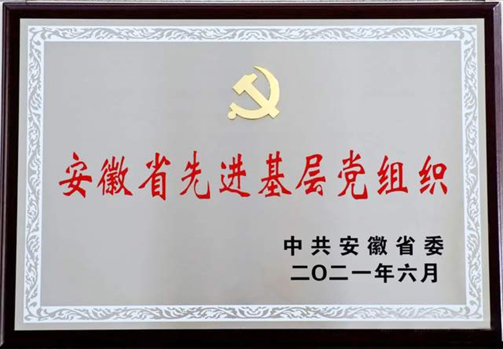 1.省先進基層黨組織獎牌.jpg